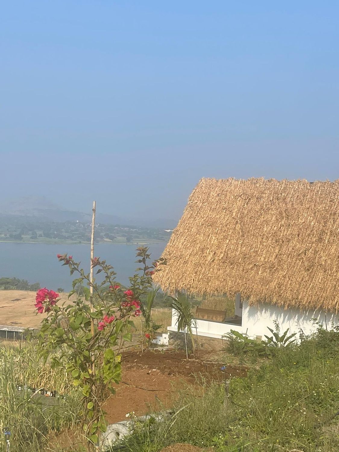 Thatched chalet with bougainvillea and the lake behind