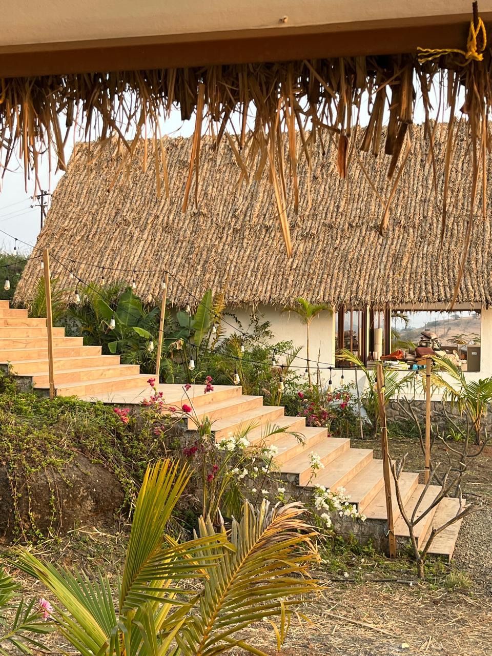 Thatch and steps