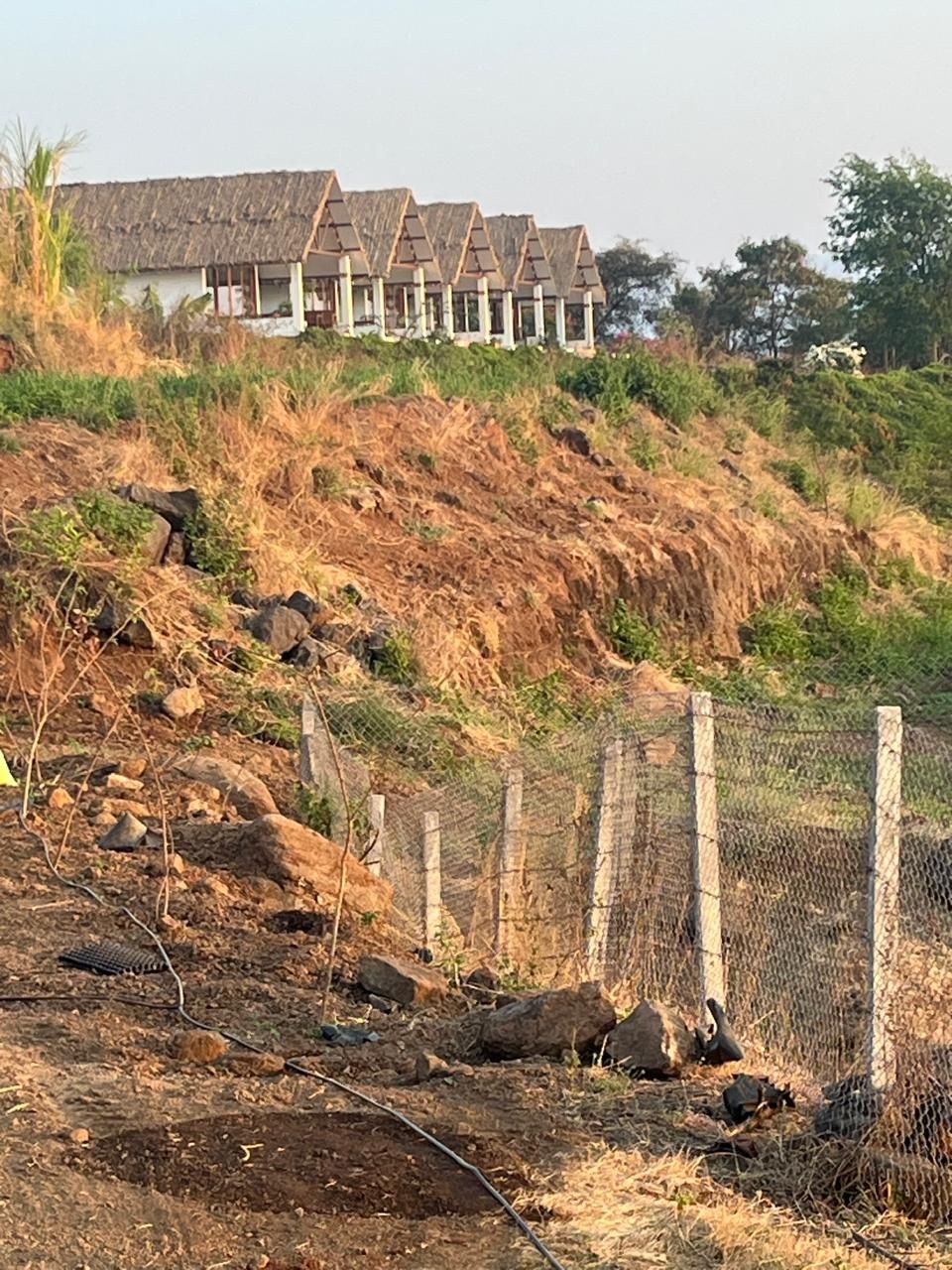 The row, dry season