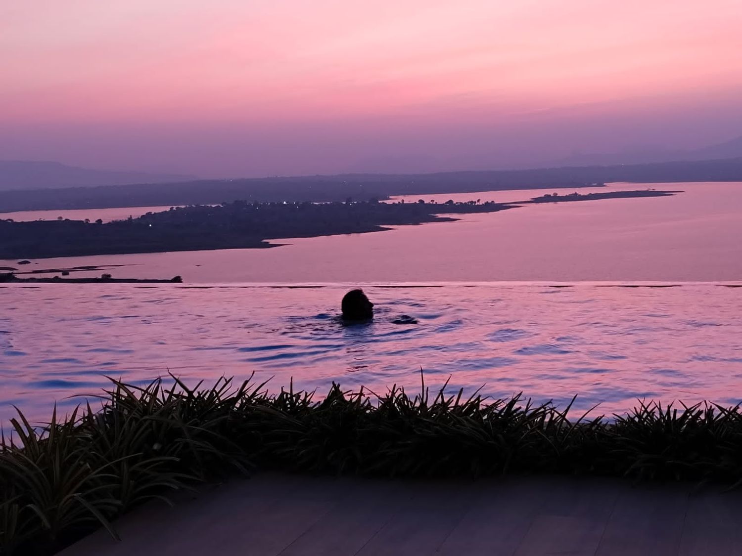 Pink dusk swim