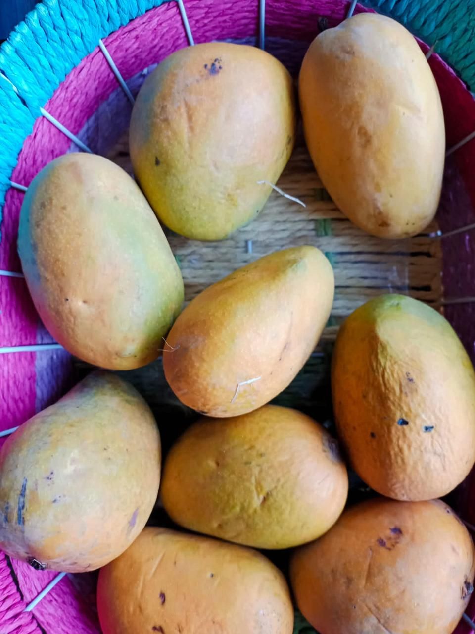 Ripe mangoes