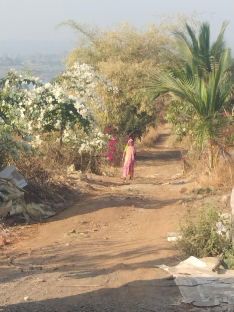 A village path with flowering trees
