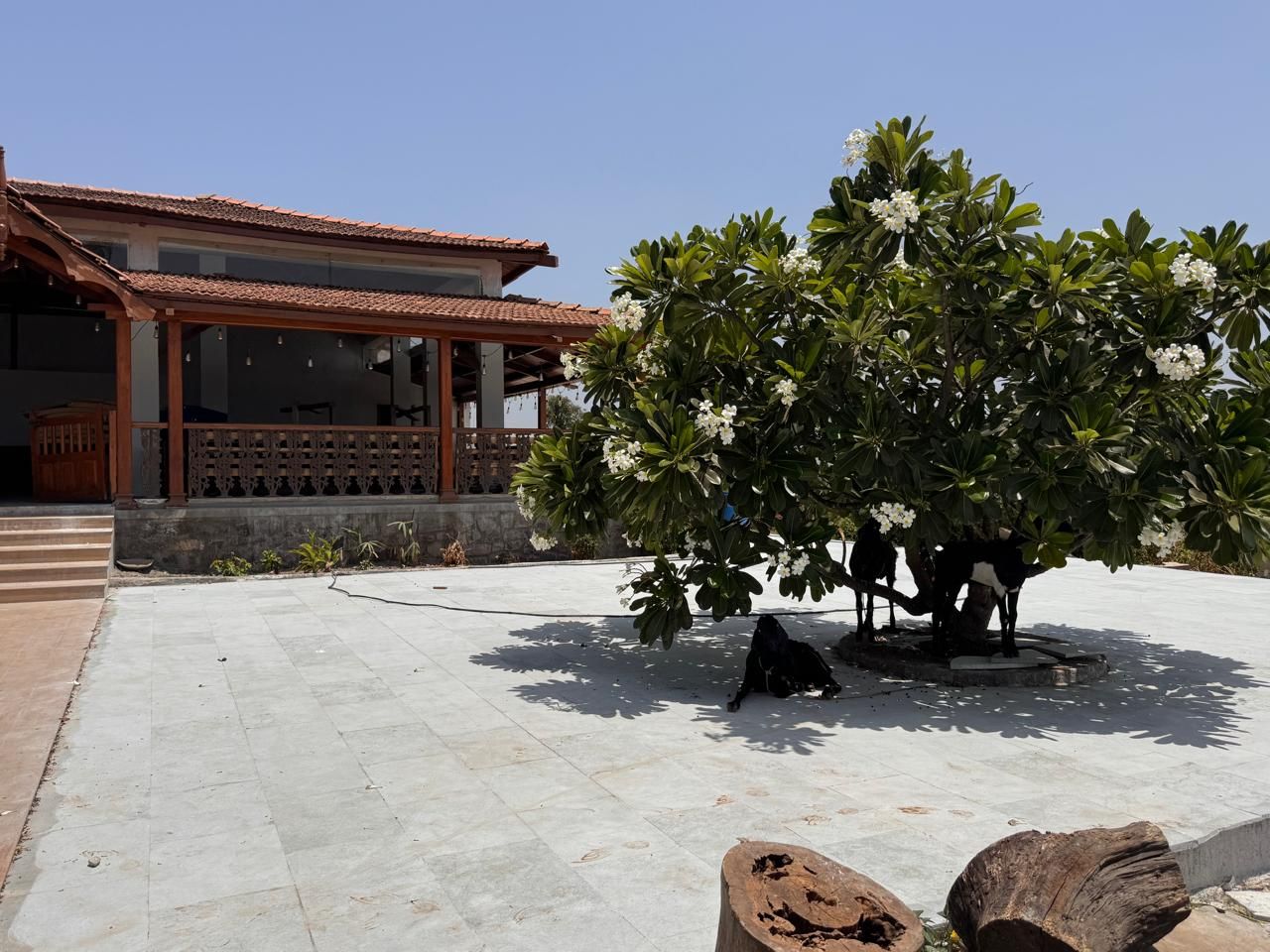 Xanadu courtyard