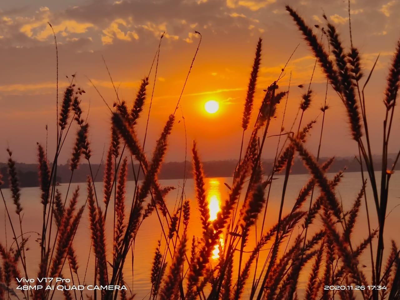 Through wild grass