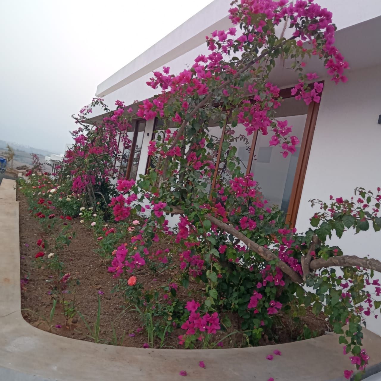 Villa facade